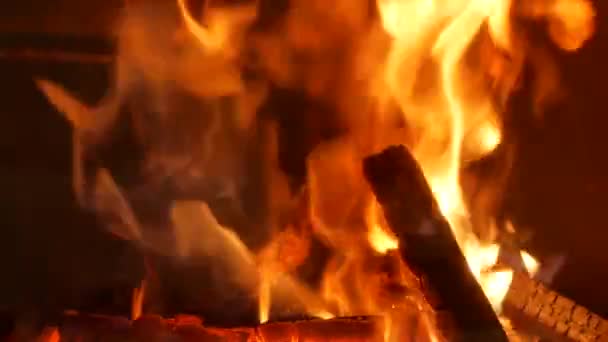 Fuego Ardiente Chimenea — Vídeo de stock