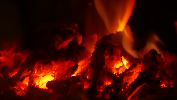 Fuego Ardiente Chimenea — Vídeo de stock