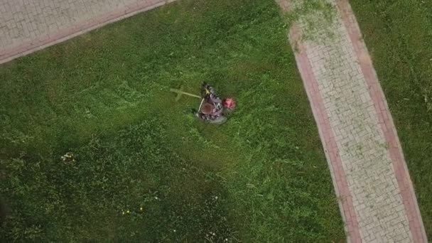 芝刈り機の男は芝生を上から見る — ストック動画