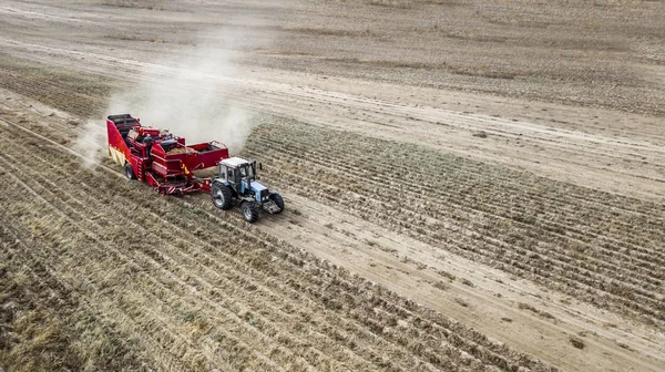 Agricultores cosecharon patatas vista superior fotografía aérea con dron — Foto de Stock