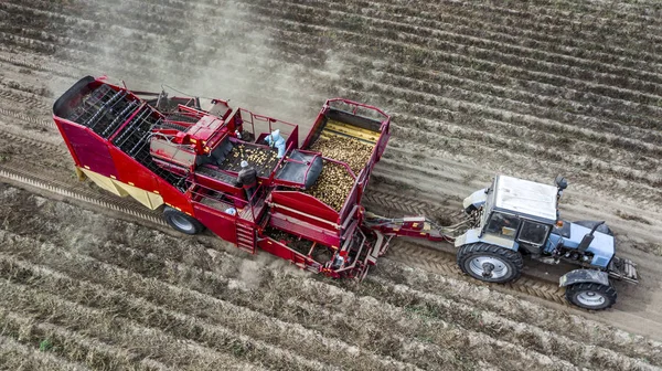 Bauern ernteten Kartoffeln von oben Luftaufnahmen mit Drohne — Stockfoto