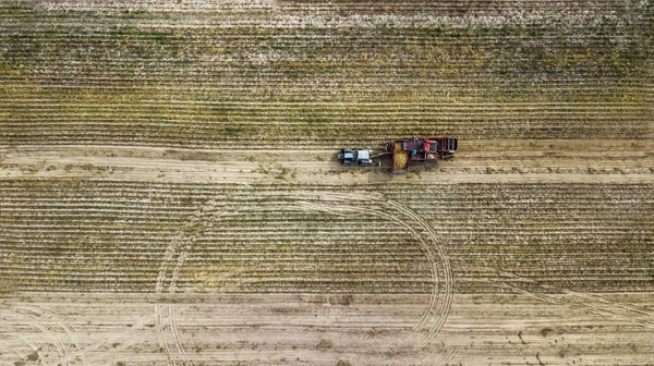 Bauern und Feldarbeiter setzen Landmaschinen bei der Kartoffelernte ein — Stockfoto