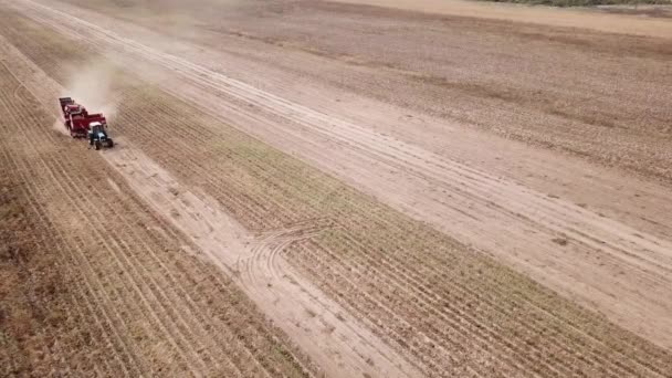 Farmers Use Machinery Harvest Potatoes Aerial View — Stock Video