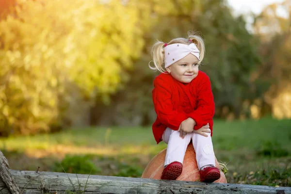 Маленькая девочка грустит, сидя на тыкве в осеннем саду — стоковое фото