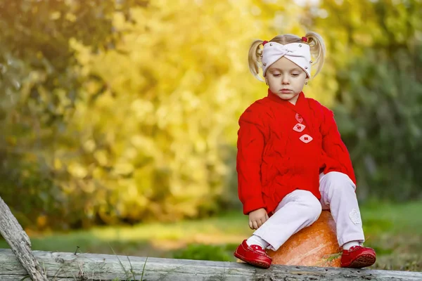 Petite fille est triste tandis que assis sur une citrouille dans le jardin d'automne — Photo