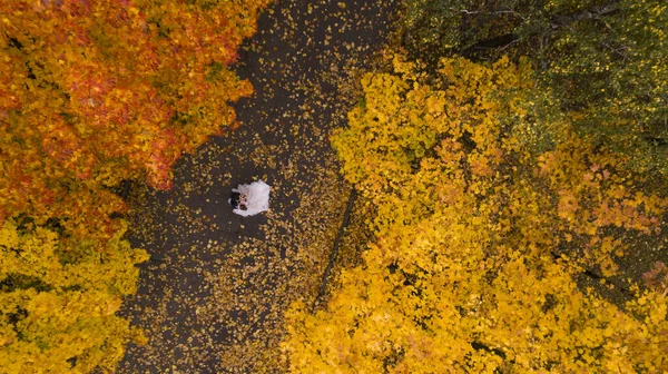 Recién casados en el bosque de otoño vista superior — Foto de Stock