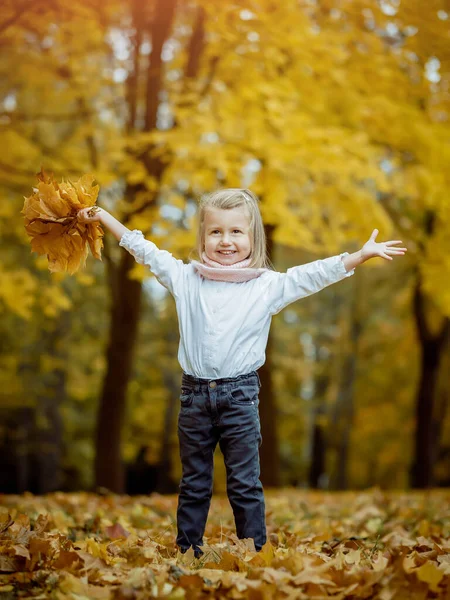 Petite fille en automne Parc avec des feuilles dans ses mains — Photo