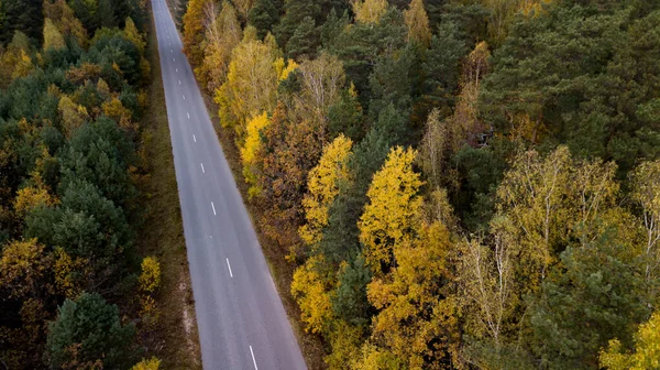 Cesta podzimní lesní leteckou fotografií s dronem — Stock fotografie