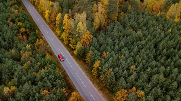 Červené auto vyjížďky na podzim lesní cesty letecký pohled — Stock fotografie