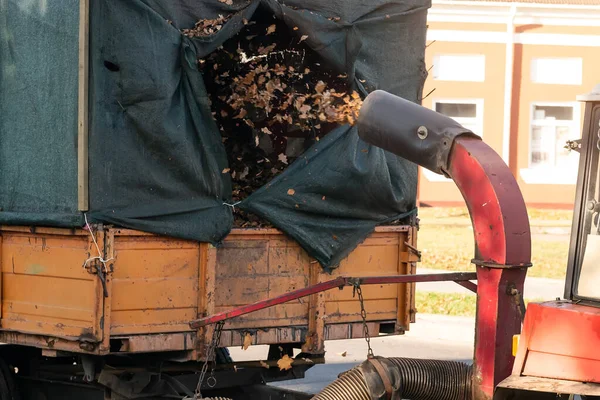 Cargador de vaccuum industrial pesado cargando hojas caídas y chatarra en el cuerpo del camión. Servicios municipales de limpieza del área del parque eliminando follaje y escombros —  Fotos de Stock