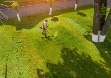 Çim biçme makinesi park manzarasında çimleri biçer