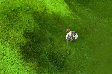 Çim biçme makinesi yeşil çimen manzaralı