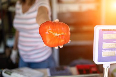 Sebze satıcısının elinde kocaman bir domates.