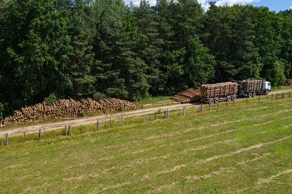 deforestation and logging top view. Trucks take away logs. Forest industry.