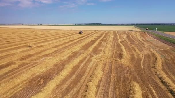 Zemědělská Krajina Slámovým Balíkem Traktorem — Stock video