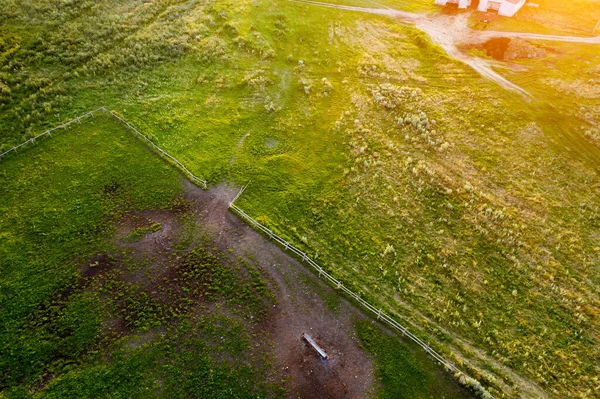 Zvíře Pasoucí Ohrada Horní Pohled Drone — Stock fotografie