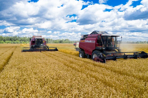 Maaidorsers Die Graan Oogsten Combineren — Stockfoto