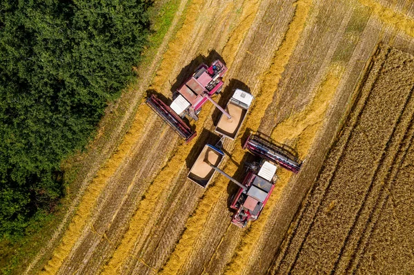 Combine Harvesters Pour Grain Truck Top View — Stock Photo, Image