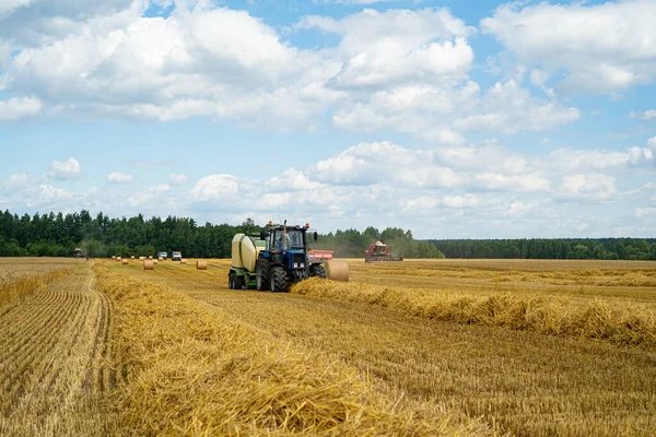 Tarweoogst Door Landbouwers Die Tractoren Gebruiken Combinaties Daarvan — Stockfoto