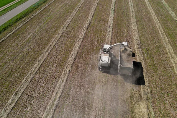hay harvesting from the field top view from the drone