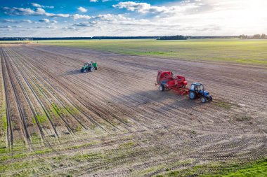 Bir tarlada patates kazmak. Hava görünümü.