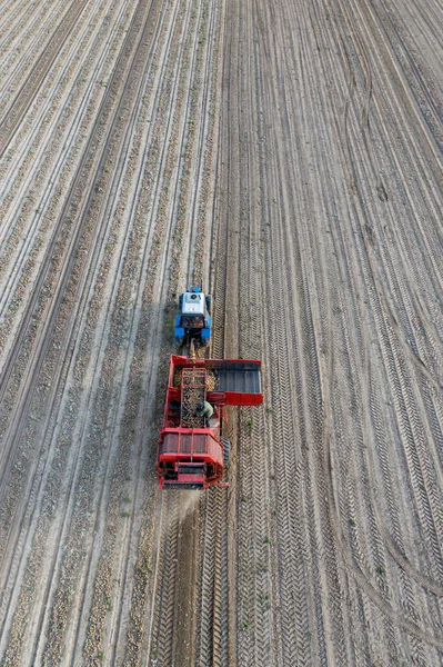 Potato Harvester Goes Field Aerial View — Stock Photo, Image