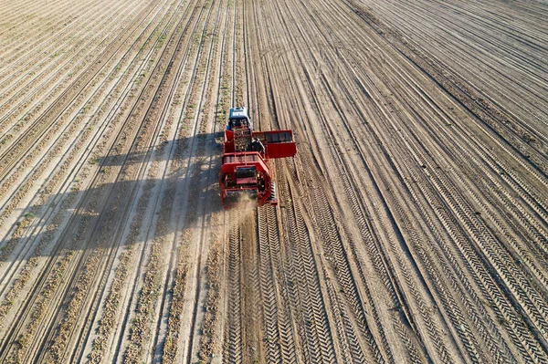 Contractors Harvest Potatoes Full Unloaded Bins Taken Farm Coolstore — Stock Photo, Image