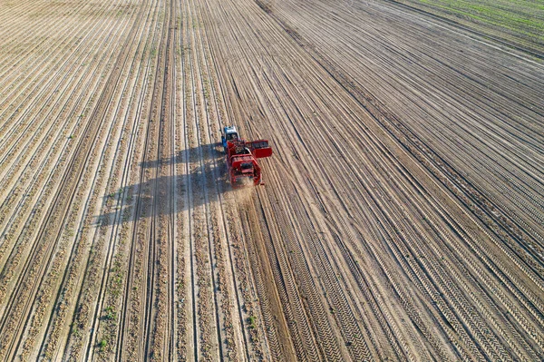 Aannemers Oogsten Aardappelen Wanneer Vol Zijn Worden Uitgeladen Bakken Naar — Stockfoto