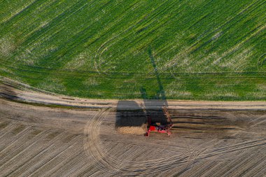 Yaz akşamları hasatçıları şekerpancarı hasadı ile birleştirin..
