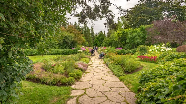 Borda mista de plantas perenes em Reford Gardens — Fotografia de Stock