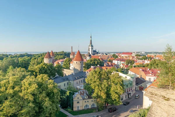 Pohled na kostel svatého Olafa z pohledu umístěného v okrese Toomhrach ve starém městě Tallinn, Estonsko — Stock fotografie