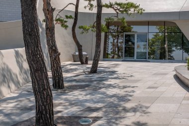 Çam ağaçları ve gölgeler, Dongdaemun tasarım plaza, Seul