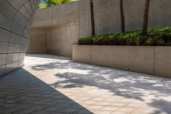 Sombras de árvores, Dongdaemun design plaza, Seul — Fotografia de Stock