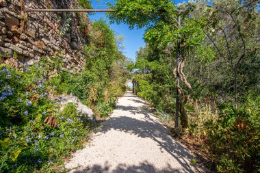 Bir Akdeniz bahçesinde dikdörtgen patika ve taş duvar, P