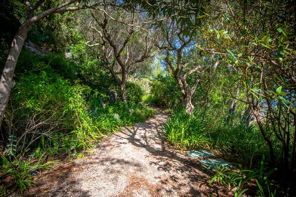 Akdeniz bahçesi ile gayri resmi patika, Provence