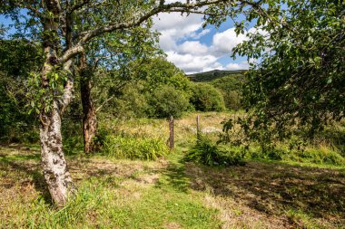 Patika ve çayıra açılan bir kapı