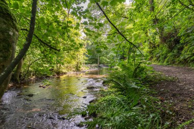 Galler'de küçük gölgeli nehir boyunca iz