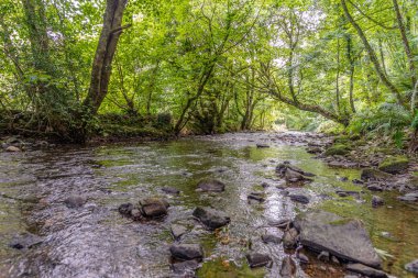 Galler'de küçük gölgeli nehir