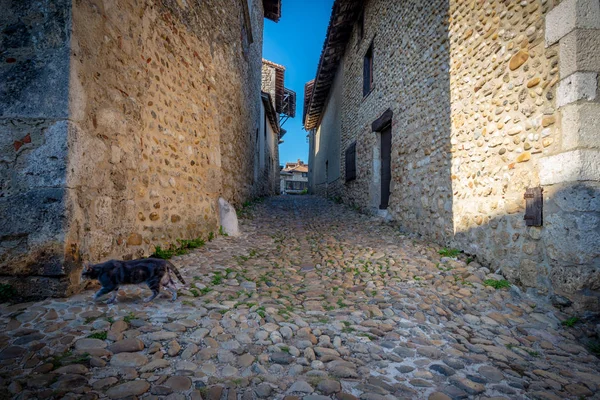 Narrow alley and cat escaping, Perouges, France