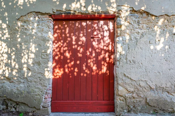 Leaves and branches casting a shadow on a red door, Perouges, Fr — Stock Photo, Image