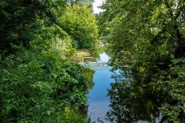 Rivière calme bordée d'une végétation dense, Tupin-et-Semons, France — Photo