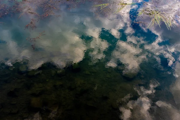 Gökyüzü karanlık su ve birkaç su bitkileri, Marne Nehri yansıtan — Stok fotoğraf