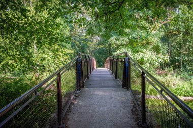 Ormandaki yaya köprüsü