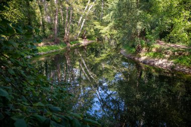 Gökyüzü ve yapraklar sakin bir nehire yansıyor,
