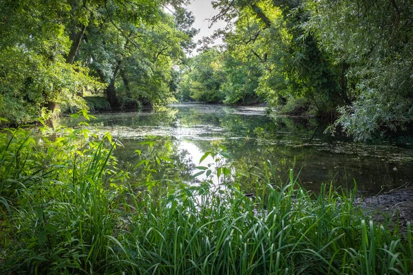 Himmel und Laub spiegeln sich auf einem ruhigen Fluss, — Stockfoto