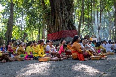 Ubud, Bali, Endonezya - 5 Mayıs 2018: Geleneksel bir törenle yerleri kesen çok sayıda balili kadın
