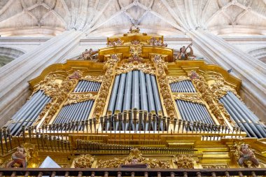 Segovia Katedrali 'nin altındaki orgun görüntüsü, İspanya
