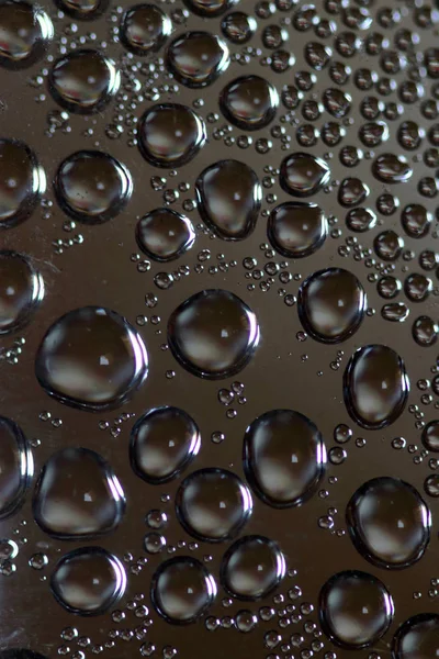 Water Drops Morning Light Reflection Dark Background — Stock Photo, Image