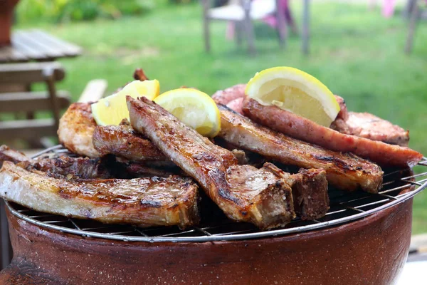 Vari Tipi Carne Sul Piccolo Barbecue — Foto Stock