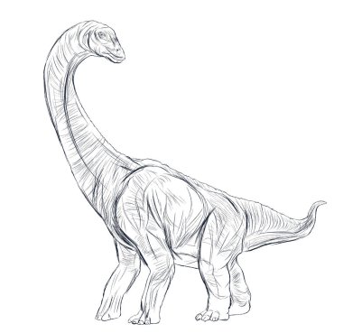 diplodok izole hat kalem kroki